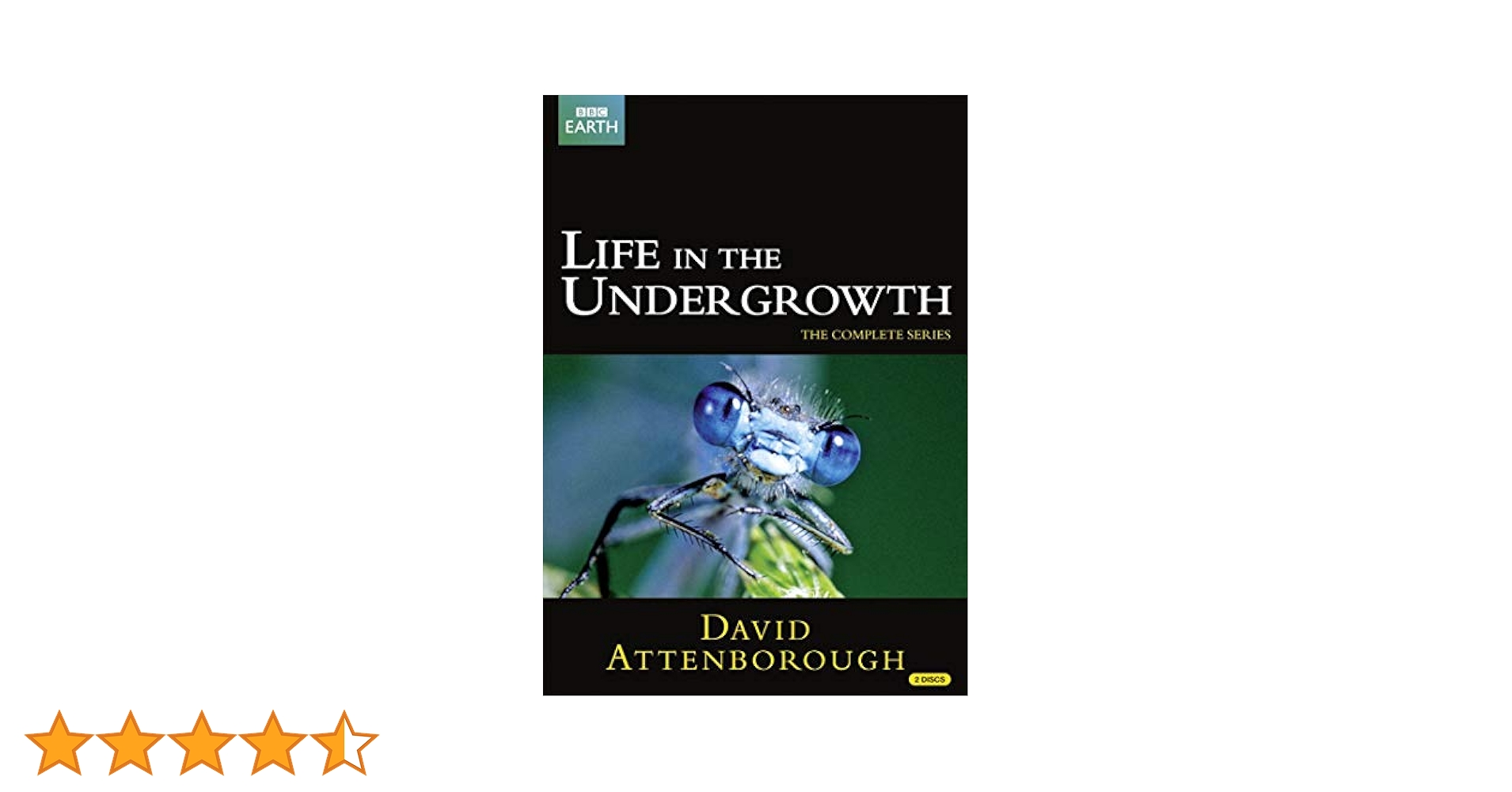 Amazon.co.jp: Life in the Undergrowth : DVD